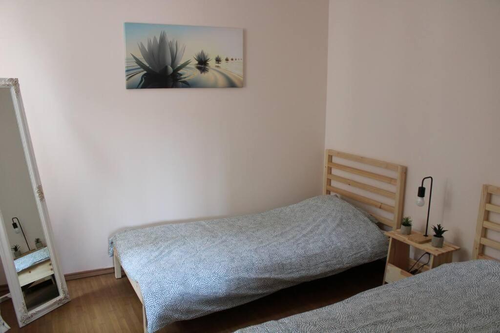 The Oasis By Downtown Apartments Târgu-Mureş Exterior foto