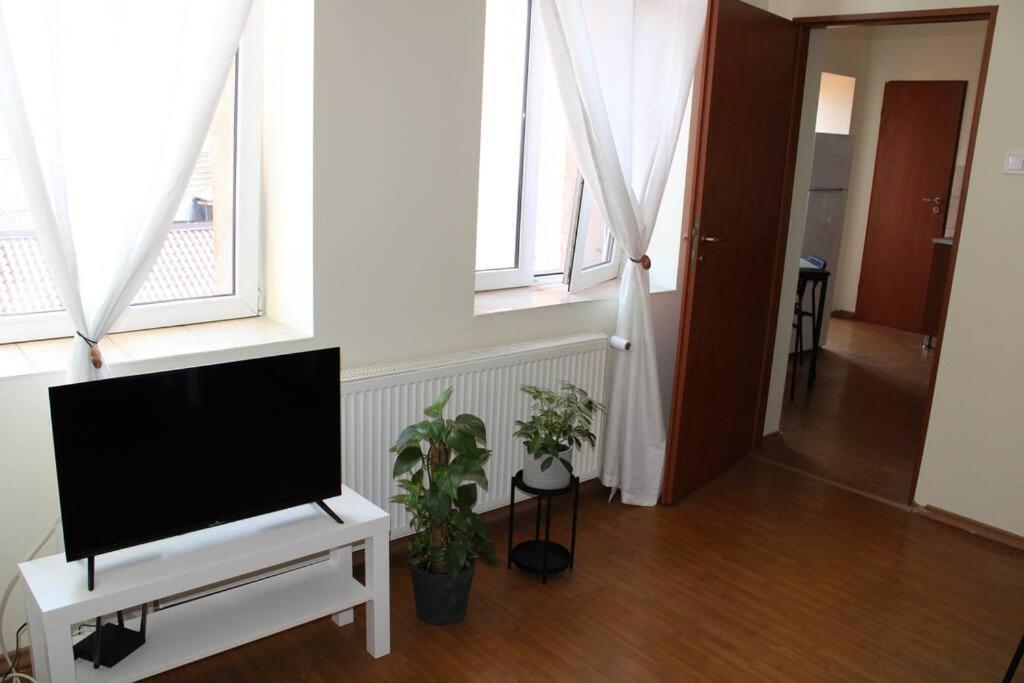 The Oasis By Downtown Apartments Târgu-Mureş Exterior foto